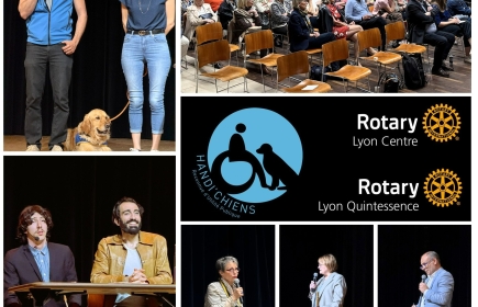 Handi'chiens